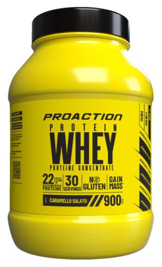 FIT WHEY PROTEIN CARAMELLO SAL